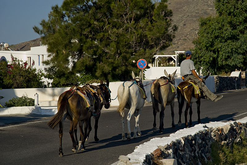 202_Santorini_Finikia.jpg