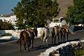 202_Santorini_Finikia